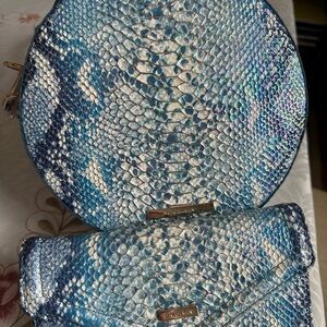 Brahmin Oceangrove Irirdescent Lane & Matching Veronica Wallet